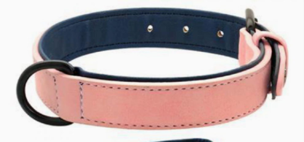Adjustable Dog Collar & Leash Set